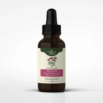 Magiczny Ogród Echinacea Angustifolia nalewka 1:1 50ml