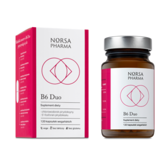 Norsa Pharma Witamina B6 Duo 120 kapsułek