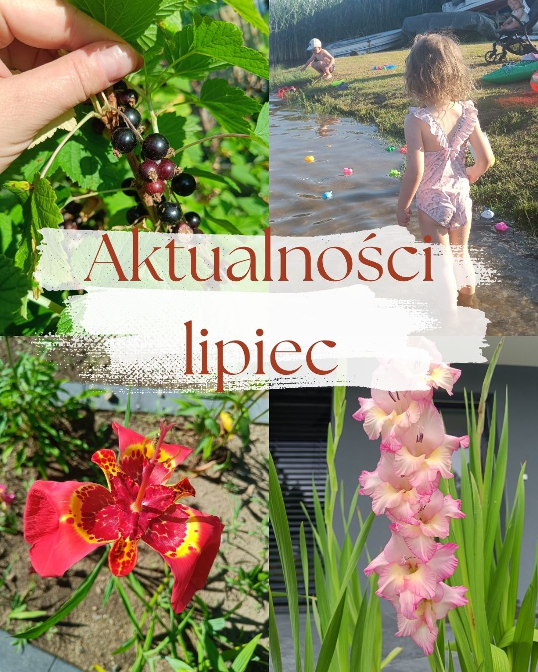Lipiec - aktualności, promocje i urlopy