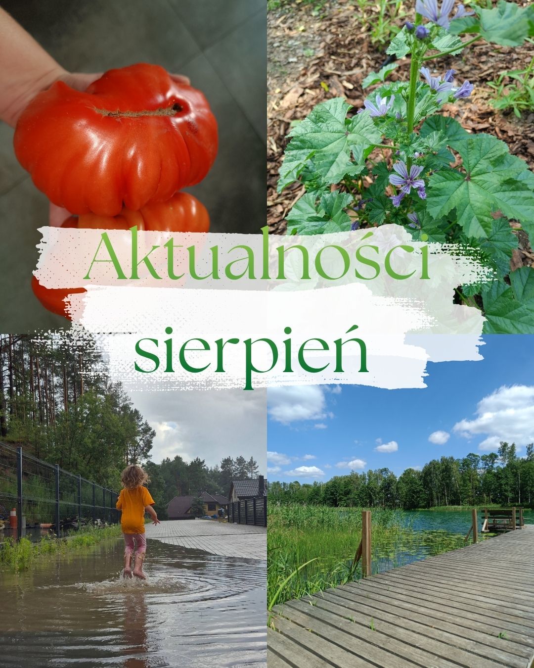 aktualności sierpień