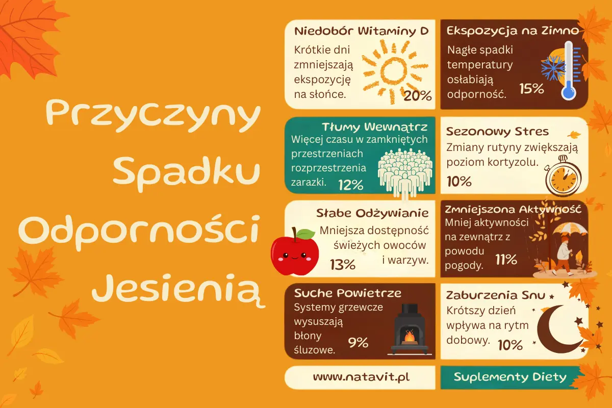 Przyczyny spadku odporności jesienią - Infografika w stylu flat design: centralne koło z ikoną tarczy (odporność), promienie z ikonami: słońce (D3), pomarańcza (C), kapsułka (suplementy), homeopatyczna fiolka. Kolory jesienne: pomarańcz, brąz, zielony.